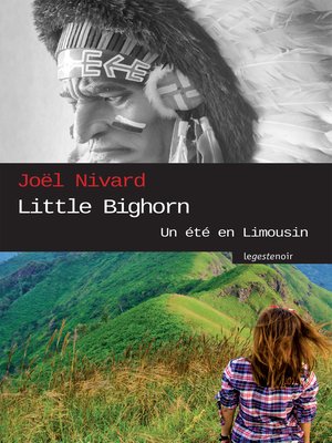 cover image of Little Bighorn